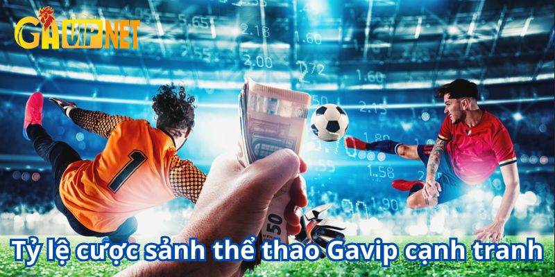 thể thao gavip
