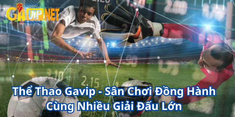 thể thao gavip