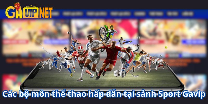 thể thao gavip