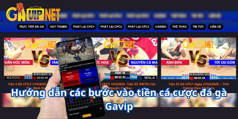 trực tiếp đá gà