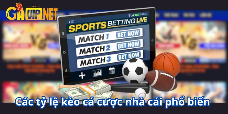 tỷ lệ kèo nhà cái