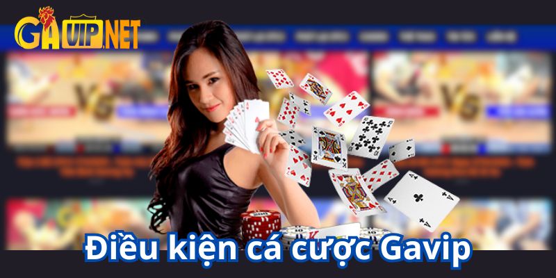 điều khoản và điều kiện