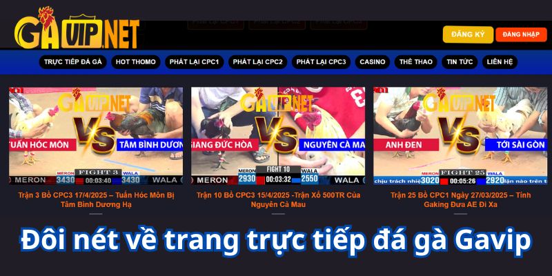 trực tiếp đá gà