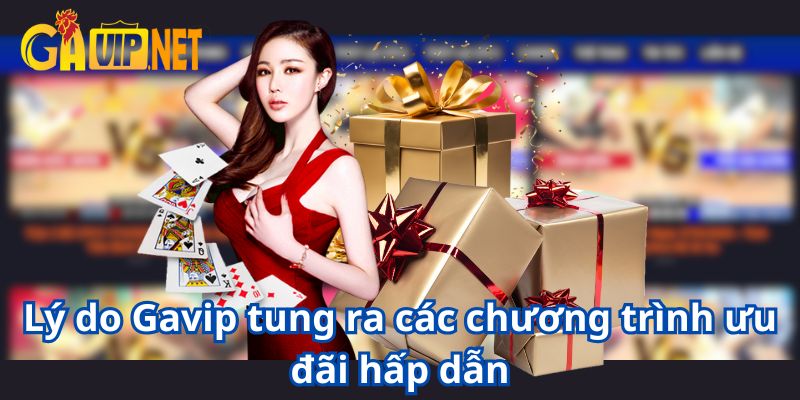 khuyến mãi gavip
