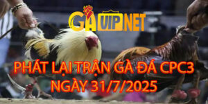 PHÁT LẠI TRỰC TIẾP ĐÁ GÀ CPC3 31/7/2025