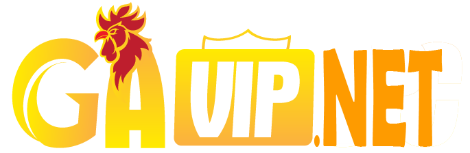 GAVIP.NET 🎖️ TRANG CÁ CƯỢC ĐÁ GÀ ✔️ THỂ THAO ✔️ CASINO