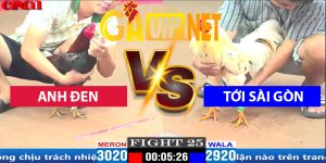 a đen (tinh gaking ) tới sài gon