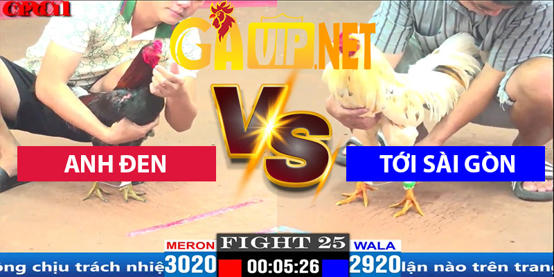 a đen (tinh gaking ) tới sài gon