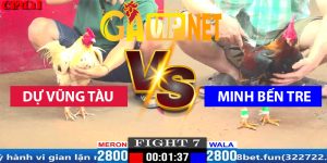 dự vũng tàu mình bên tre gavip