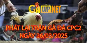 phát lại các trận gà cpc2 gavip