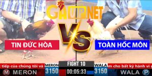 má minh thả gà tin đức hòa hạ toàn hốc môn