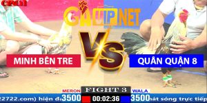 minh bến tre quân quận 8 gavip