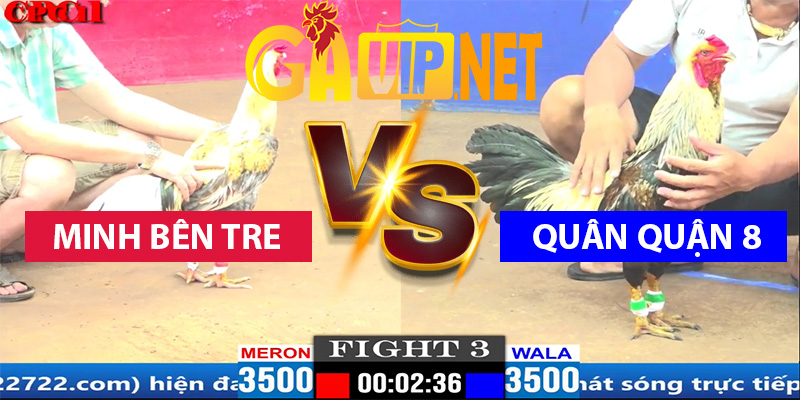 minh bến tre quân quận 8 gavip