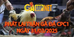 phát lại gavip cpc1 31-3