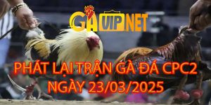 phát lại trực tiếp cpc2 ngày 23-03 gavip