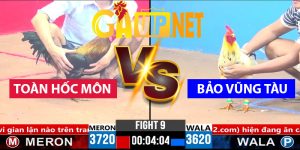 toàn hốc môn bảo vũng tàu