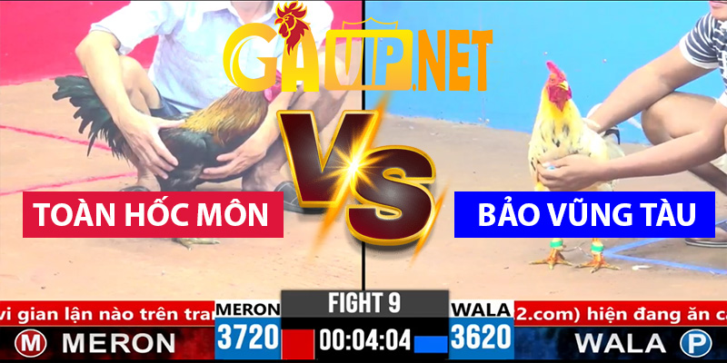 toàn hốc môn bảo vũng tàu