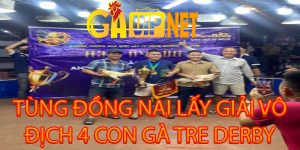 tùng đồng nai vô địch giải 4 con gà tre