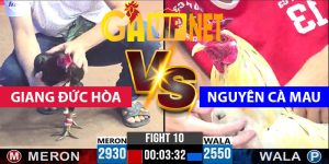 Trận 10 Bồ CPC3 15/4/2025 -Trận Xổ 500TR Của Nguyên Cà Mau
