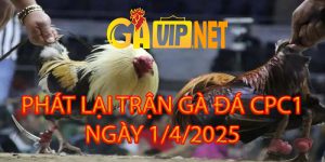 phát lại cpc1 gavipnet 1-4