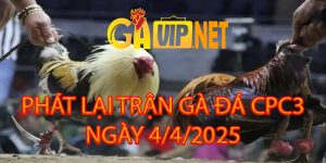 phát lại gà đá cpc3 gavip net 4-4