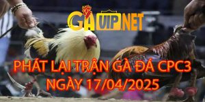 PHÁT LẠI TRỰC TIẾP ĐÁ GÀ CPC3 17/4/2025