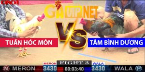 Trận 3 Bồ CPC3 17/4/2025 - Tuấn Hóc Môn Bị Tâm Bình Dương Hạ