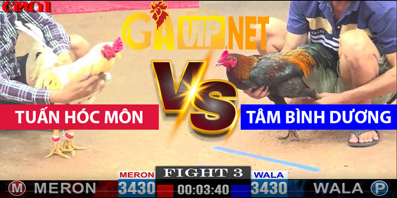 Trận 3 Bồ CPC3 17/4/2025 - Tuấn Hóc Môn Bị Tâm Bình Dương Hạ